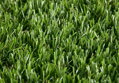 Travní koberec STAR LAWN CASTOR