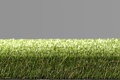 Travní koberec EASY LAWN DAISY
