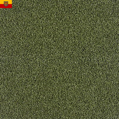 Travní koberec Star Lawn GREENFIELD