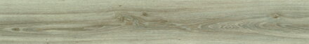 MODULEO TRANSFORM 22246 Blackjack Oak 