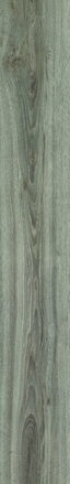 MODULEO TRANSFORM 22937 Blackjack Oak 