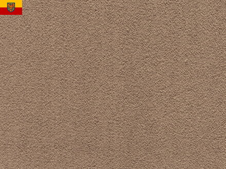 Bytový koberec FELIZ 034