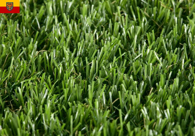 Travní koberec STAR LAWN CASTOR