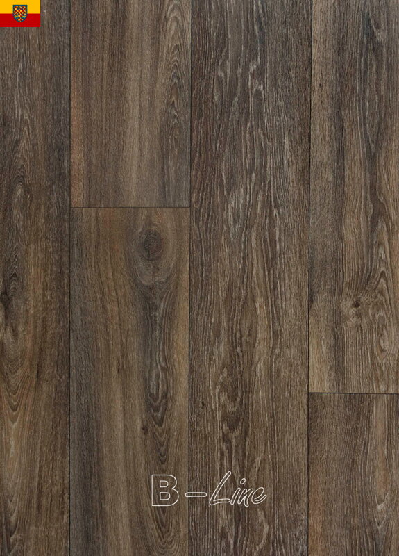 PVC podlaha AMBIENT Havanna Oak 669D