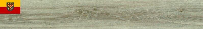 MODULEO TRANSFORM 22246 Blackjack Oak 