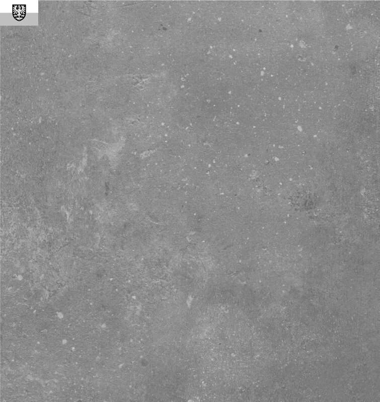 PVC podlaha GERFLOR LOFTEX 2132 Leone Metal