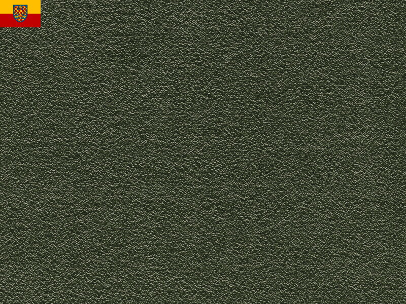 Bytový koberec FELIZ 026