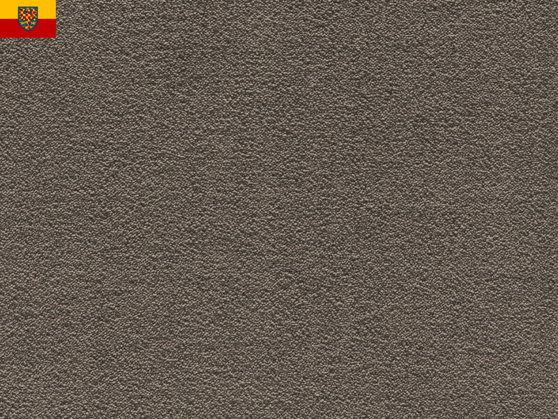 Bytový koberec FELIZ 043