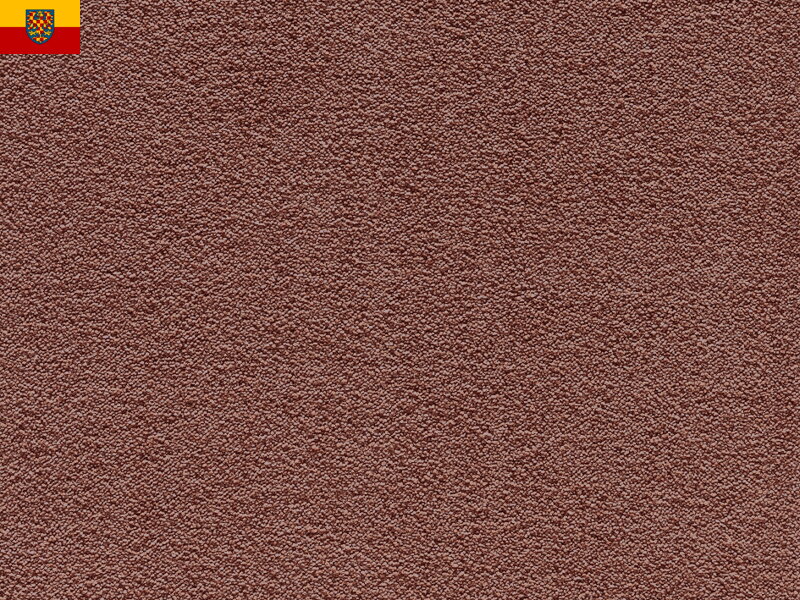 Bytový koberec FELIZ 066