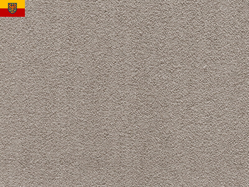 Bytový koberec FELIZ 091