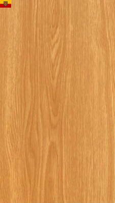 Vinylová podlaha FLOOR CONCEPT SPC Buk classic
