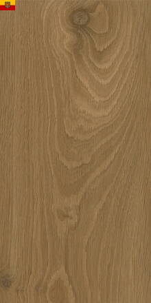 Vinylová podlaha FLOOR CONCEPT SPC Dub Aspen ACM-SPC4018/5