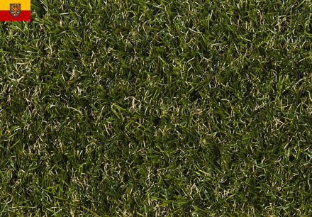 Travní koberec EASY LAWN BOTANIC