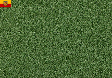 Travní koberec EASY LAWN VERDINO