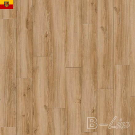 Vinylová podlaha MODULEO Select 24837