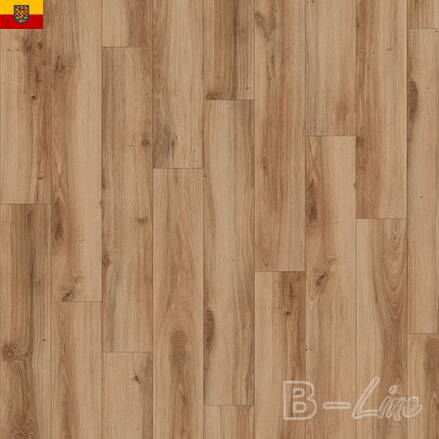 Vinylová podlaha MODULEO Select 24844