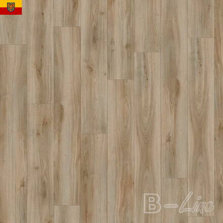 Vinylová podlaha MODULEO Select 24864